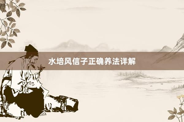 水培风信子正确养法详解