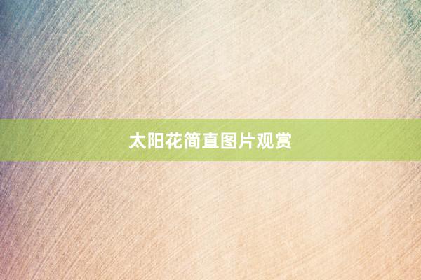 太阳花简直图片观赏