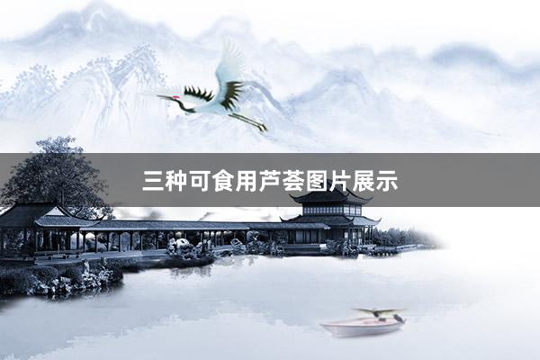 三种可食用芦荟图片展示